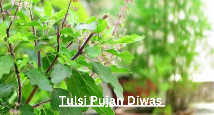 Tulsi Pujan Diwas